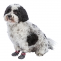 Bild 3 von Trixie Hundesocken - Grau  / (Variante) L-XL