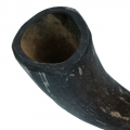 Bild 3 von Viking Whole Horn  / (Variante) L