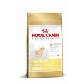 Royal Canin Pudel Junior (3 Kg)