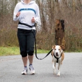 Trixie Bauchgurt mit Leine für mittelgroße und große Hunde