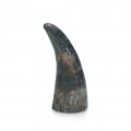 Viking Whole Horn