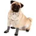 Bild 5 von Karlie Doggy Socks Hundesocken 4er Set - Schwarz/Grau  / (Variante) XS