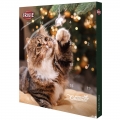 Trixie PREMIO Adventskalender für Katzen